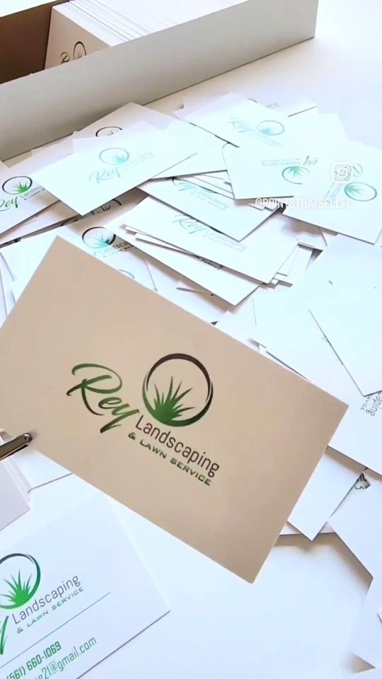 1000 Tarjetas De Presentación