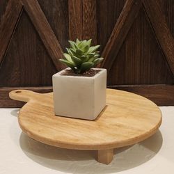 Handmade Ceramic Succulent 