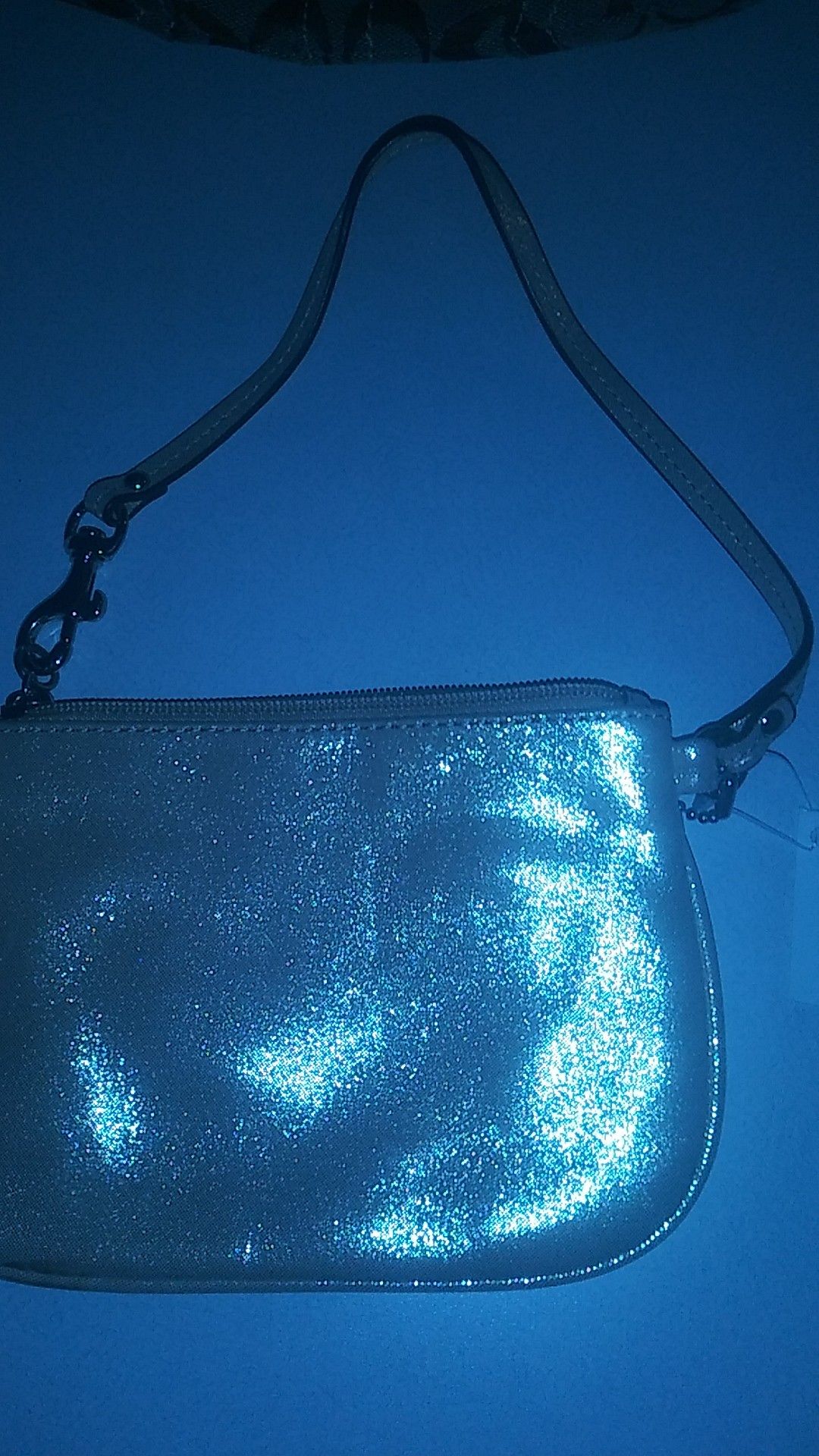 COACH small bag/ PURSE