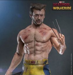 Hot Toys 🔥 Wolverine