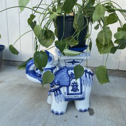 Beautiful Ceramic Plantar. White & Blue. 