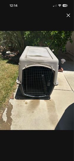 Free dog house