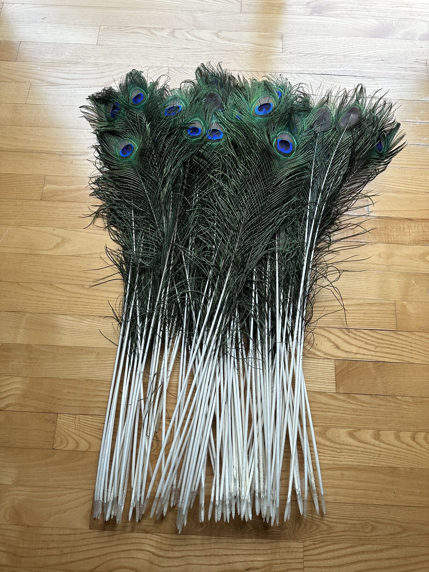 Peacock Decorating 