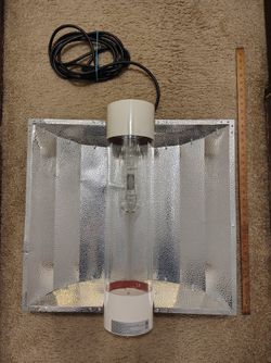 Apollo 600 watt hydroponic grow light system, MH HPS dimmable ballast