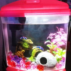 Aqueon 1-Gallon LED MiniBow