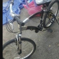 Bike Barata.  $45. 