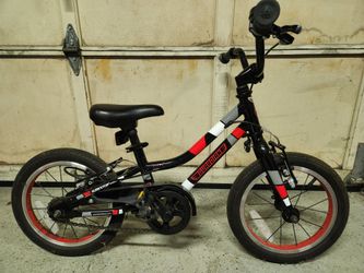 14" Gaurdian kids bike
