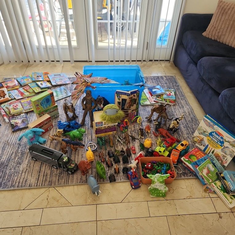 *SERIOUS BUYERS ONLY *  Gently Used Toys Books And Much More!!