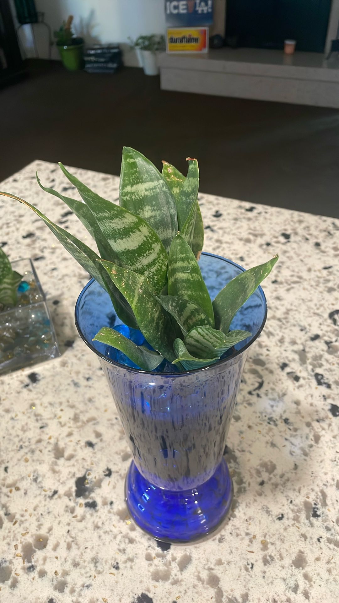 I Started These From Babies From Their Mama π€