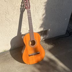 Guitar