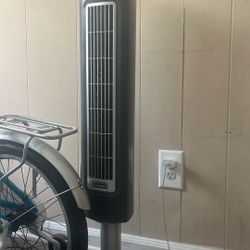 Fan