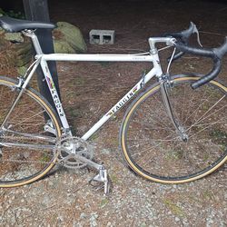 Faggin Campione del Mondo