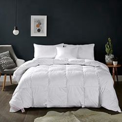 Queen Size Comforter
