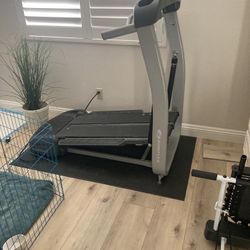 Treadmill , Climber 