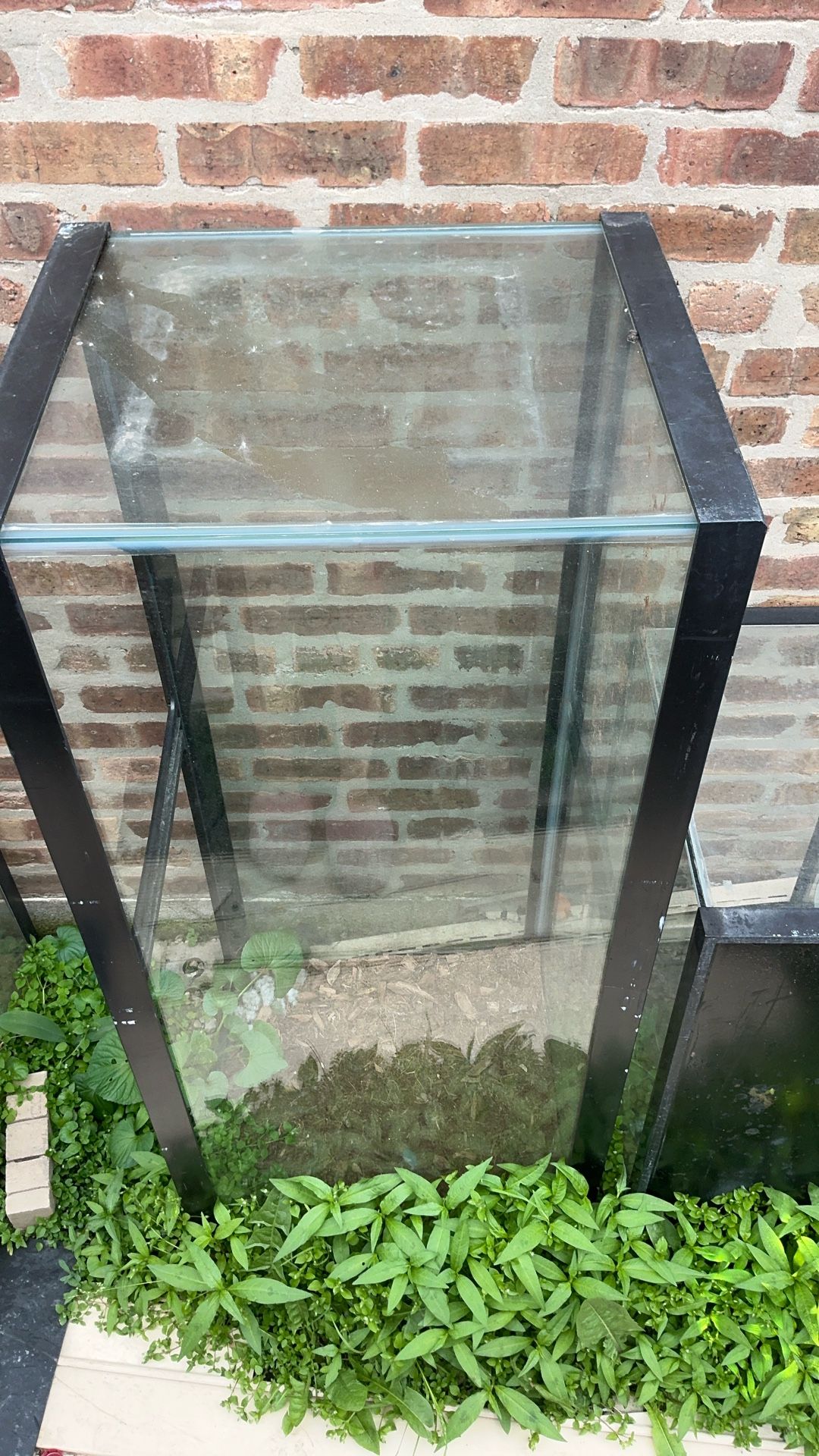 Big Fish Tank Don’t Come With Lid