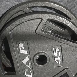 Two 45 Lbs Weight Plate 