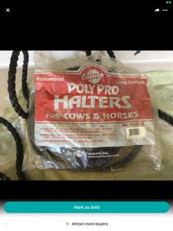 Coburn Poly Pro Halters