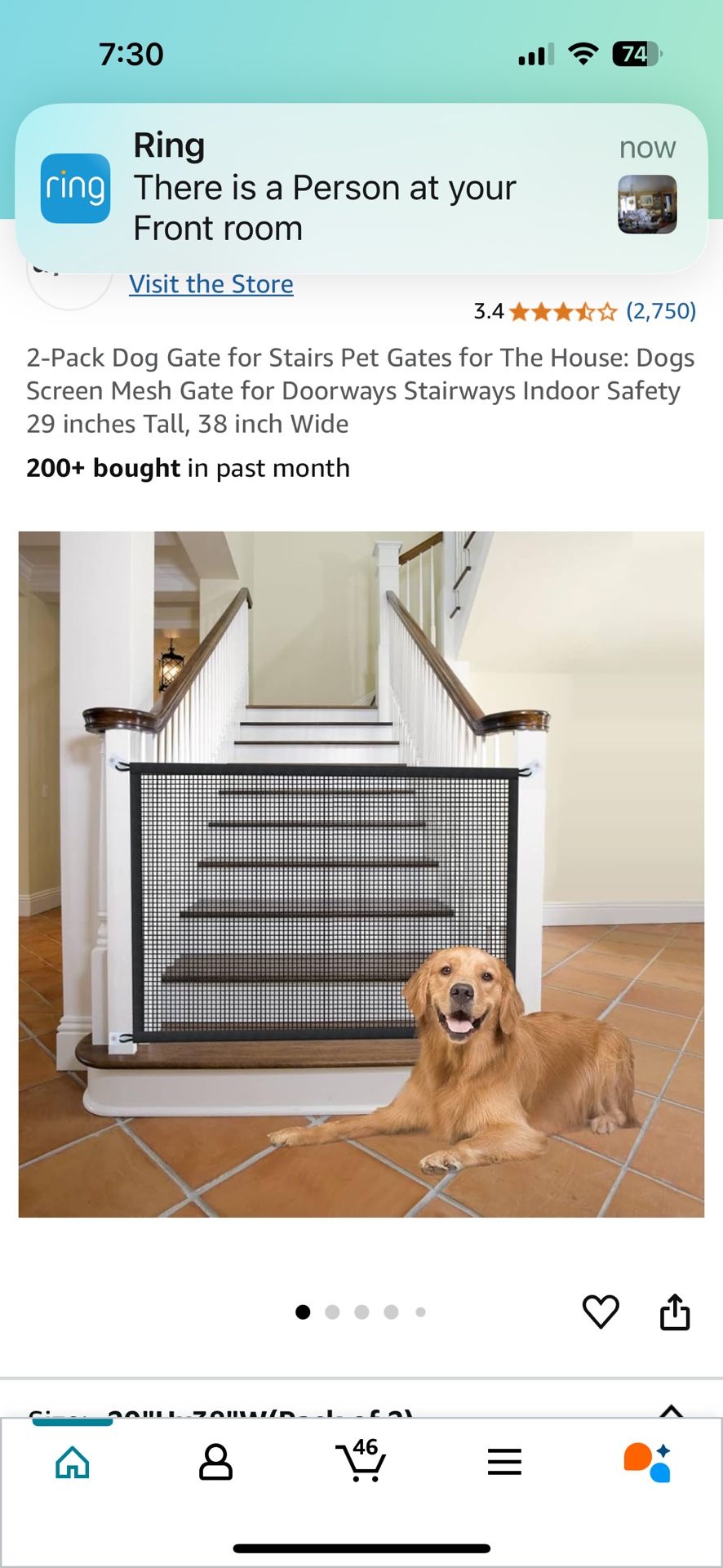 Dog Gates (2)