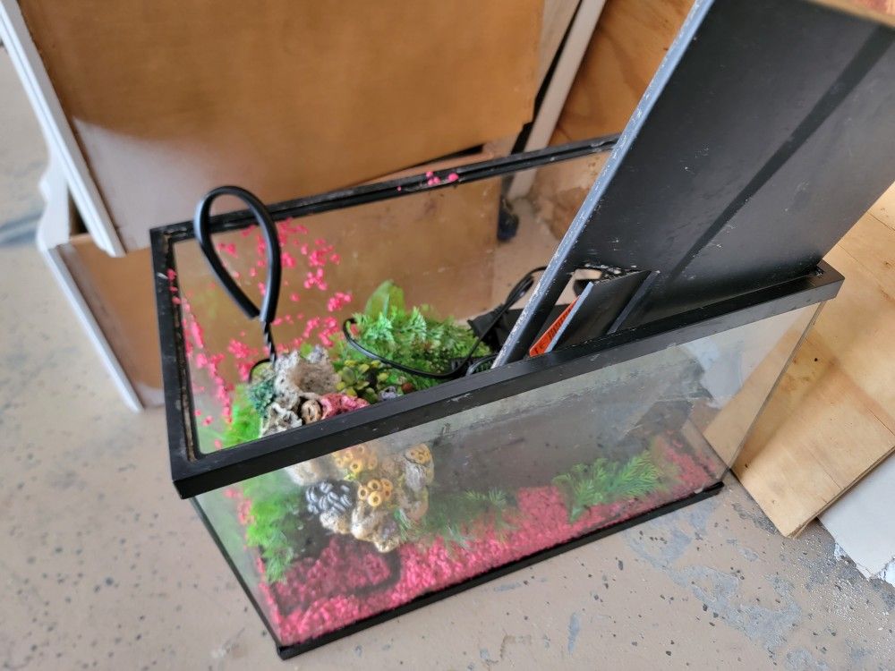 Fish Tank 10 Gallon