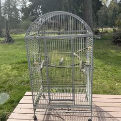 Bird Cage 