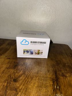 Cloud Storage Intelligent Camera