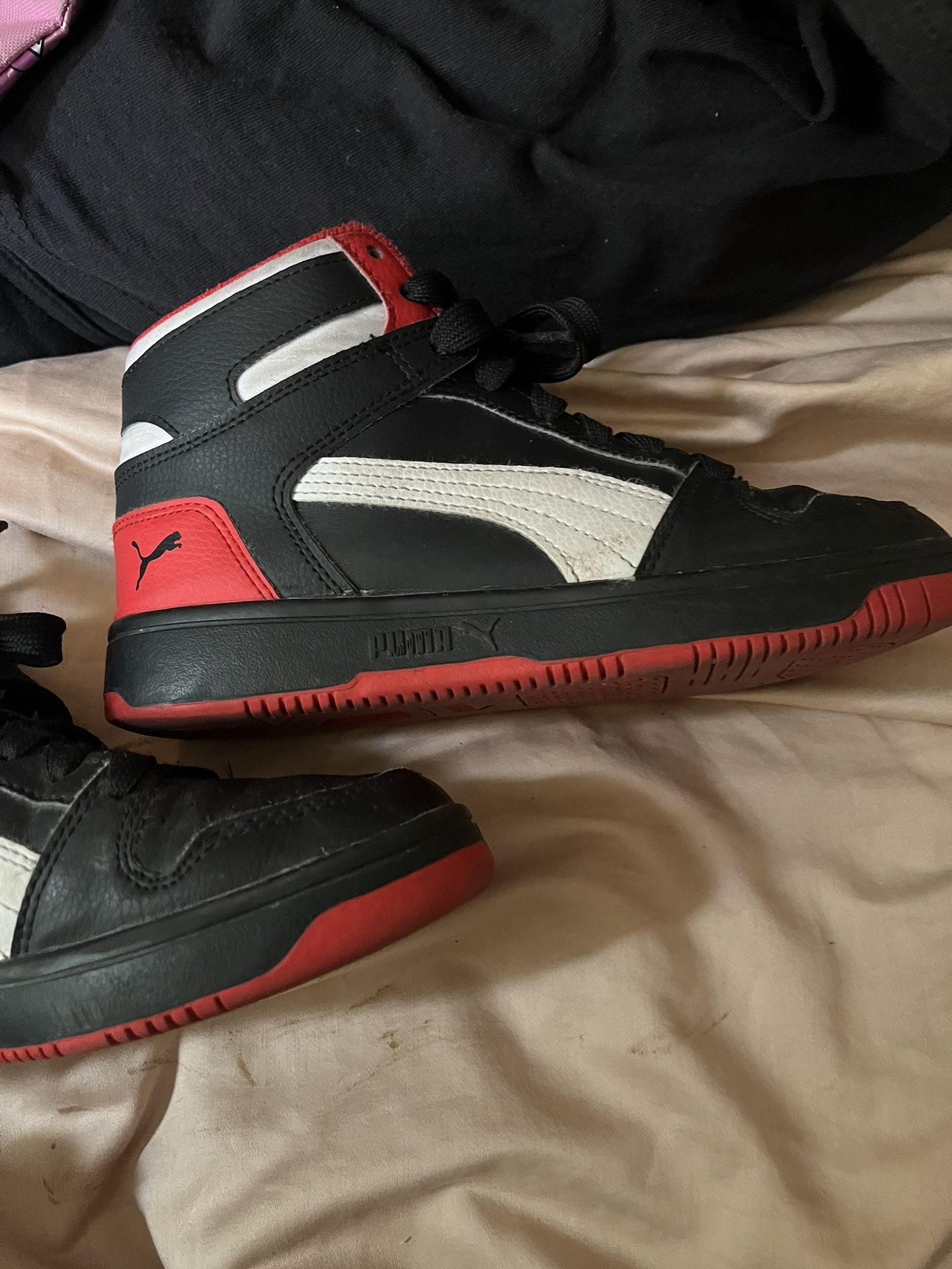 Puma