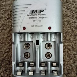Multiple Power Standard Charger 