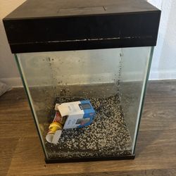 20 Gallon Fish Tank