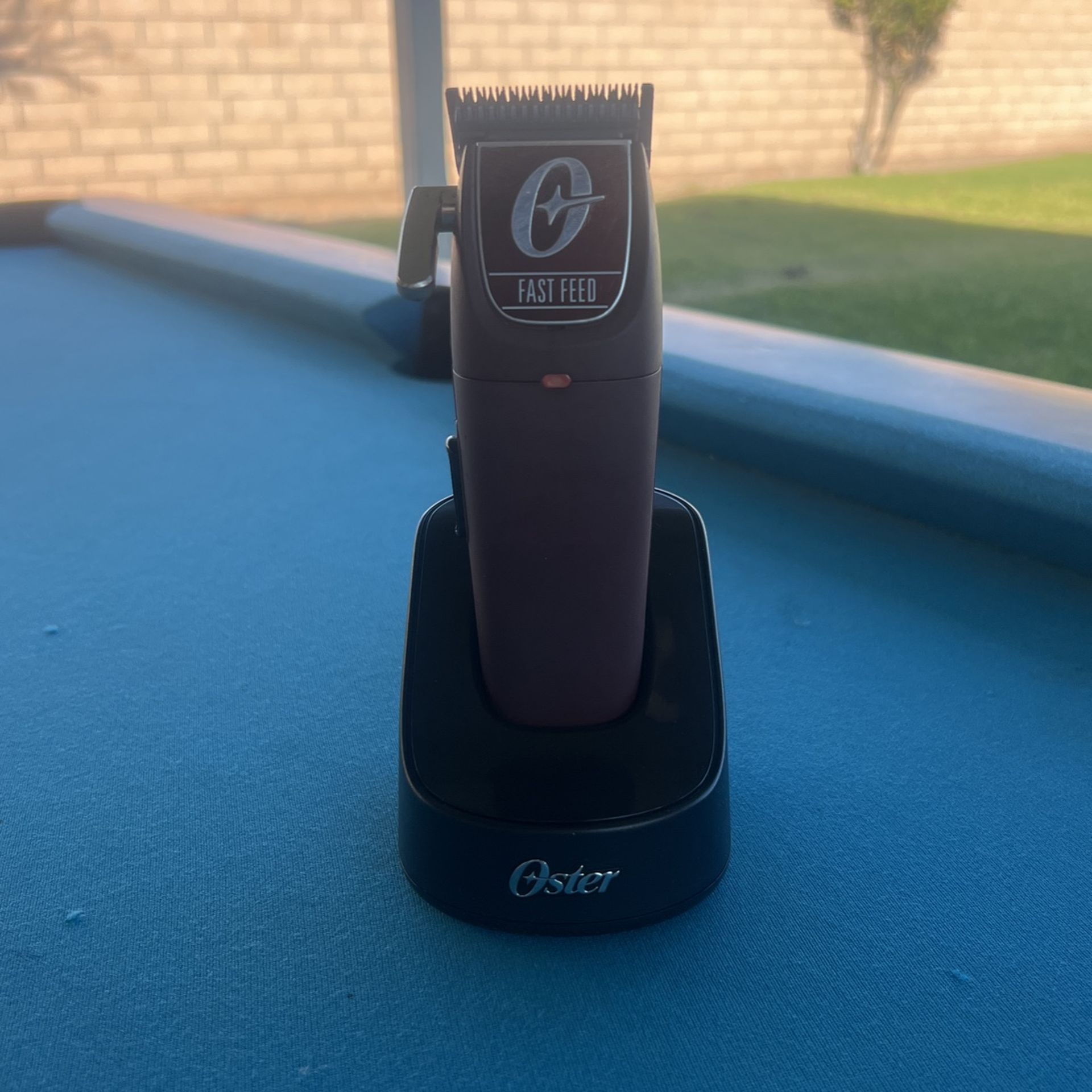 Oster Fast Feed