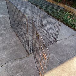 Large Kennel