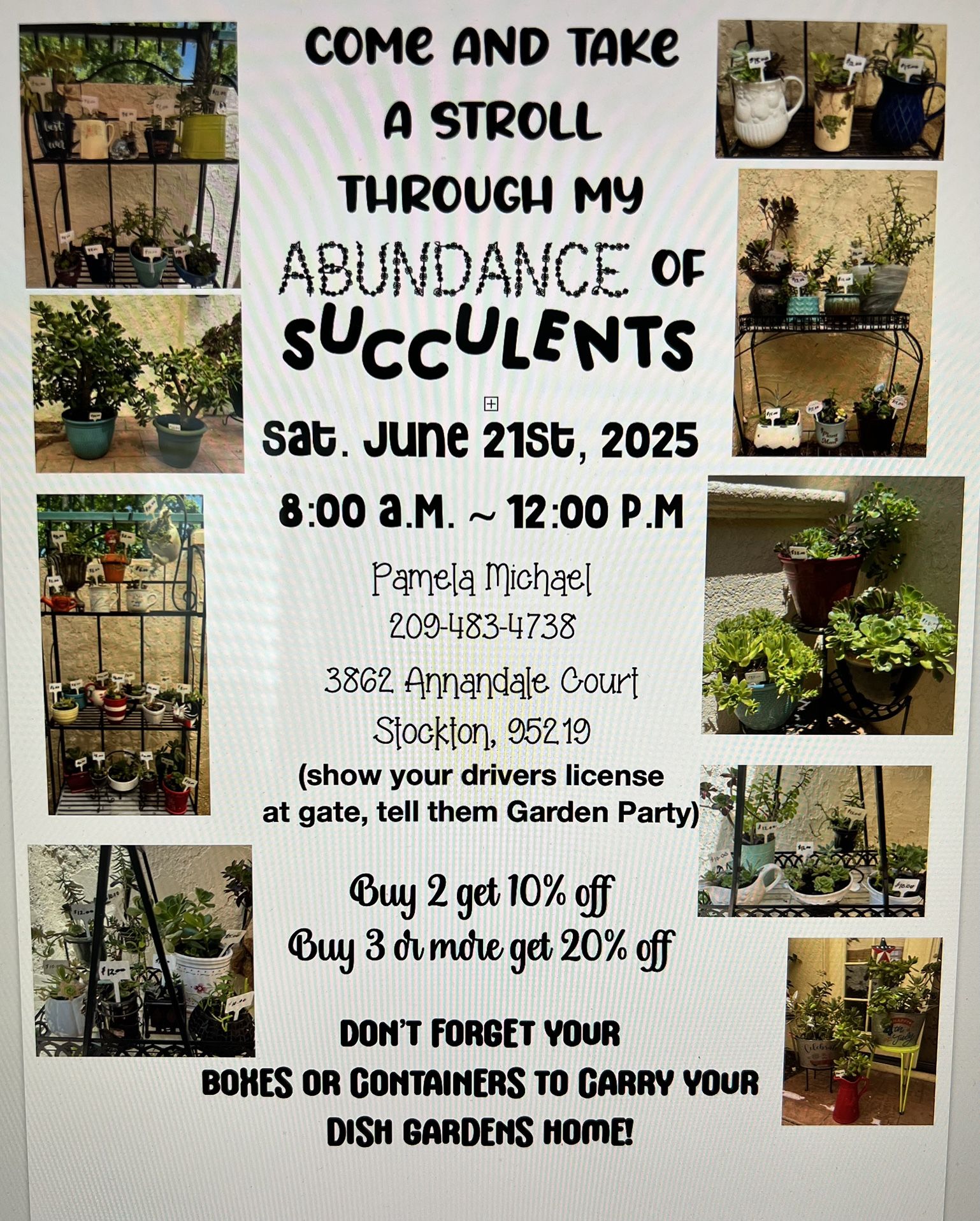 Succulent Garden Dishes
