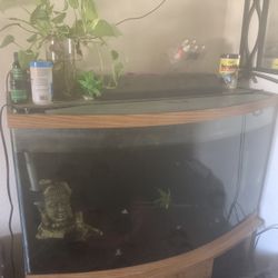 Fish Tanks