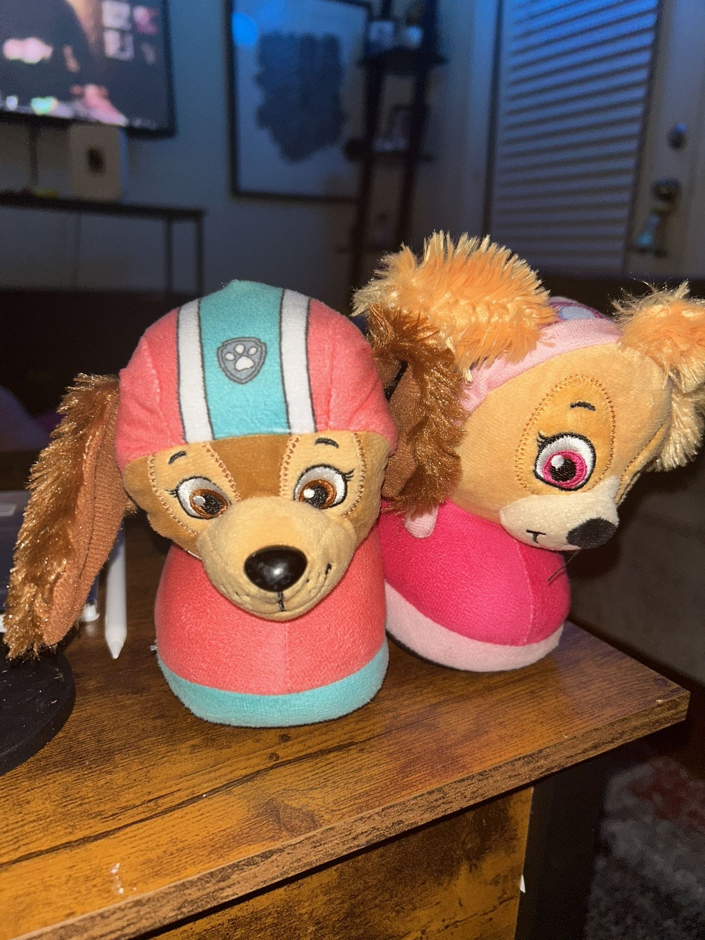 Paw Patrol Slippers