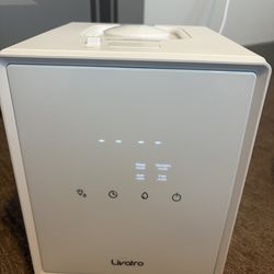 Livatro 3L Stainless Steel Warm Mist Humidifier