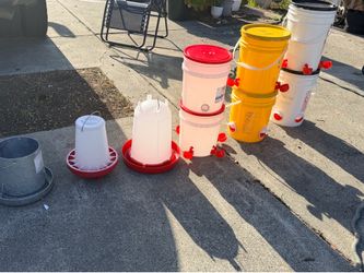 Chicken feeders and water