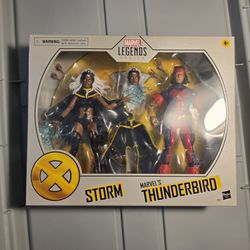 Marvel Legends X-Men 20th Anniversary Storm & Thunderbird