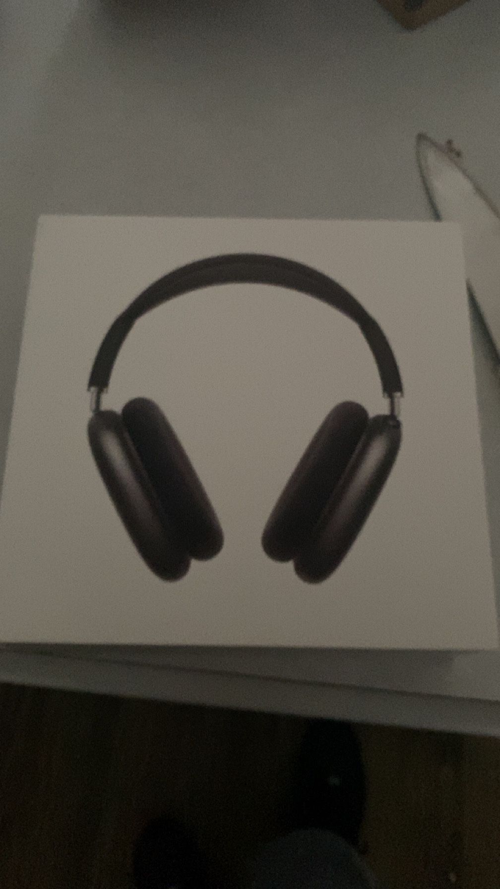 Air pod max