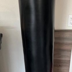Kick Boxing Punching Bag Never Used  Only $85 Dollars 