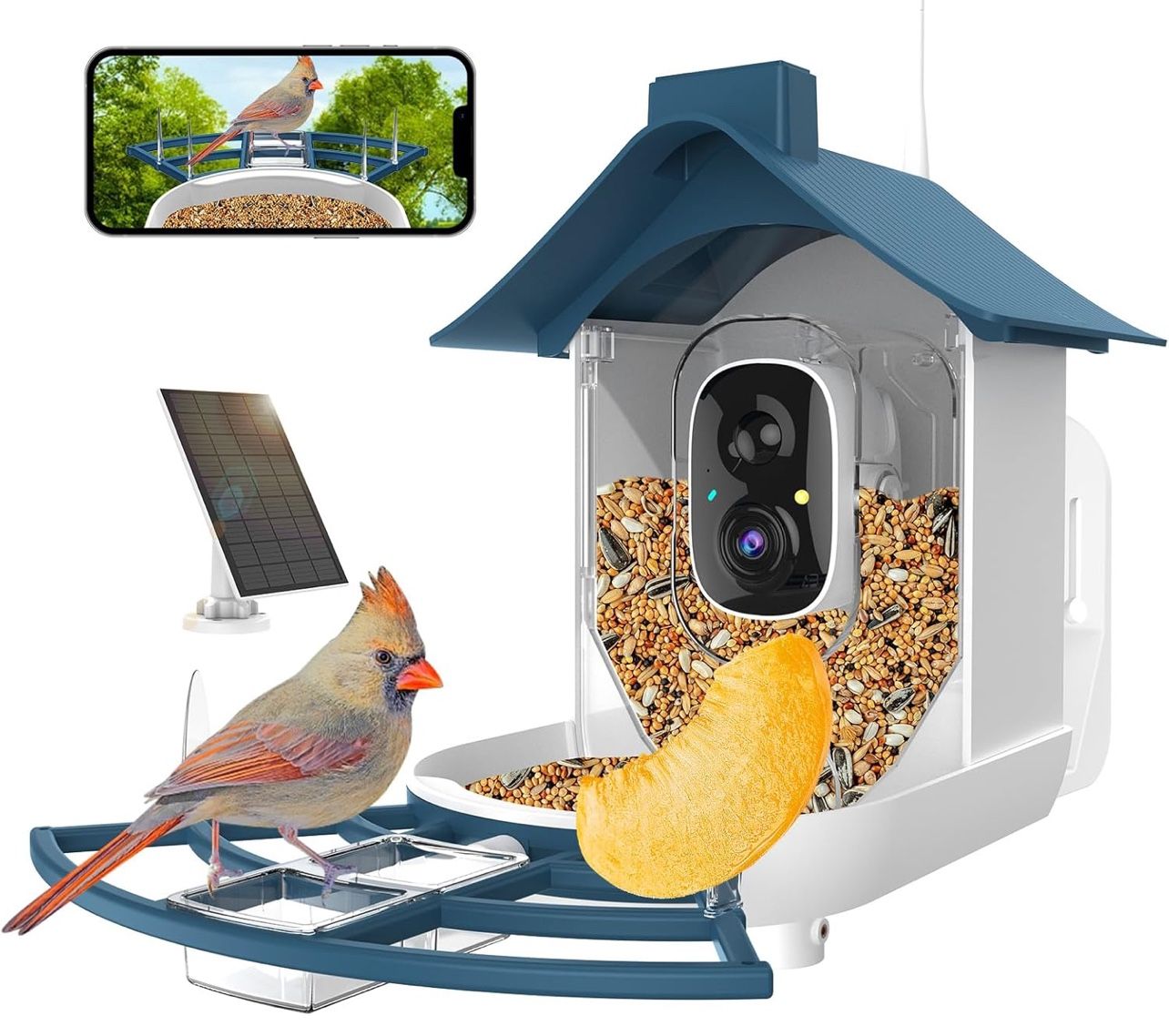 Bird Feeder with Camera, Smart Bird Feeder Camera with 1080P HD AI
