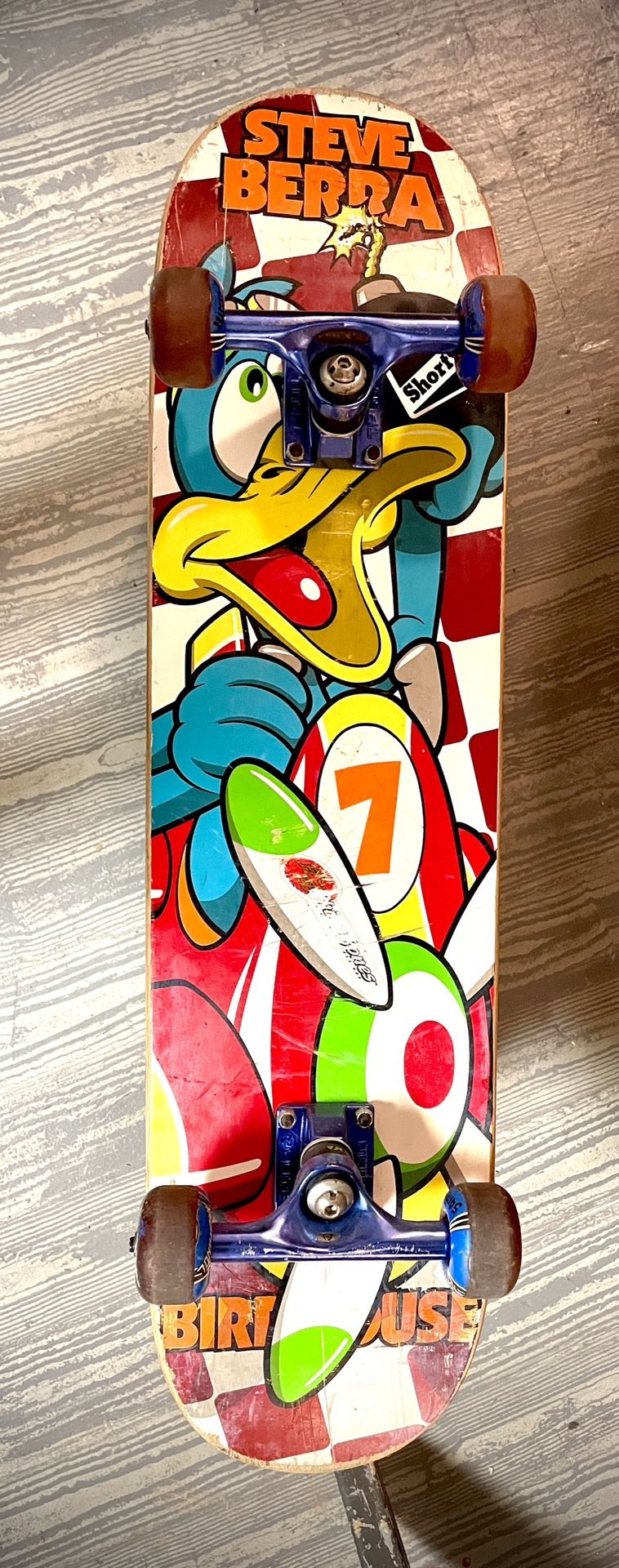 Steve Berra Birdhouse Skateboard