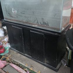 Fish Tank With Stand