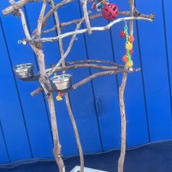 Custom Made Parrot Perch Tree … Hard Durable Ribbon Wood - Lasts For Years … Yes We Deliver !!❤️