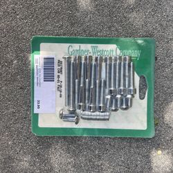 Harley FXST Primary Case Chrome Bolts