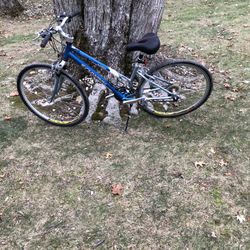 28” Schwinn Hybrid Bike 