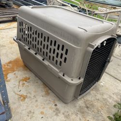 Amazing Large Dog Kennel