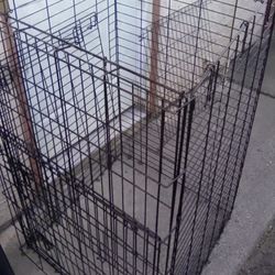 Two Dog Training Kennel
