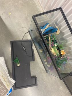 Glass Reptile Terrarium with Lid and Decor
