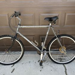 Mountain bicycle
