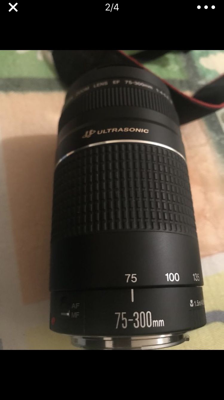 Canon 500D with 75-300mm canon lens