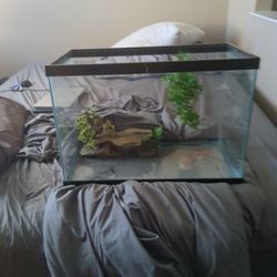 Fish Tank With Decorations